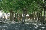 El Parque Municipal